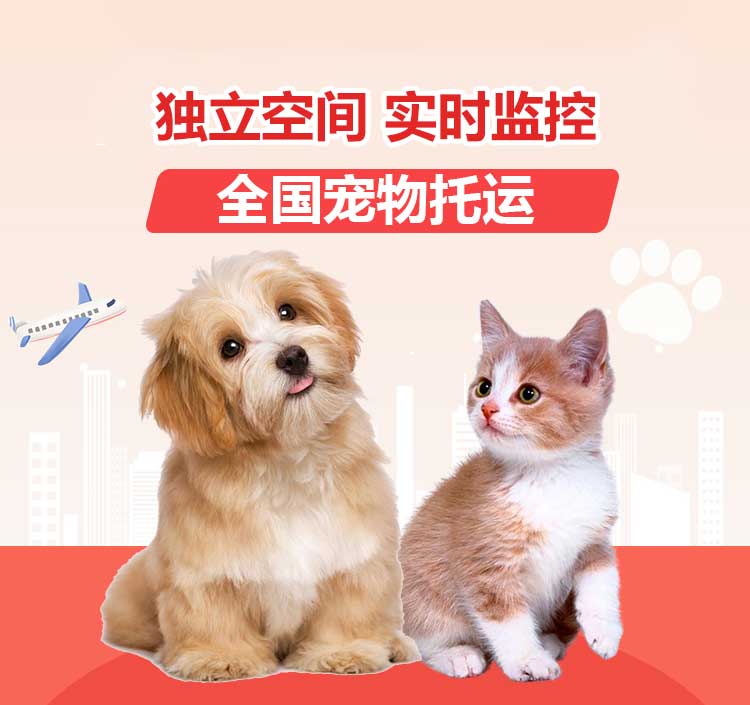 全国宠物托运